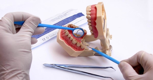 Diş Teknisyenliği
